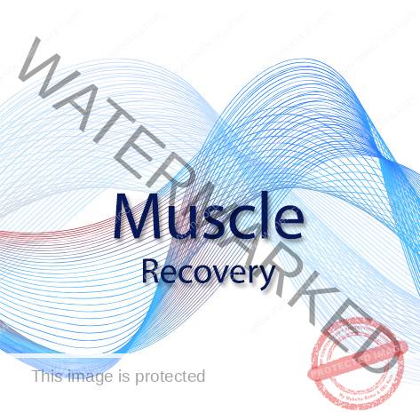 Muscle